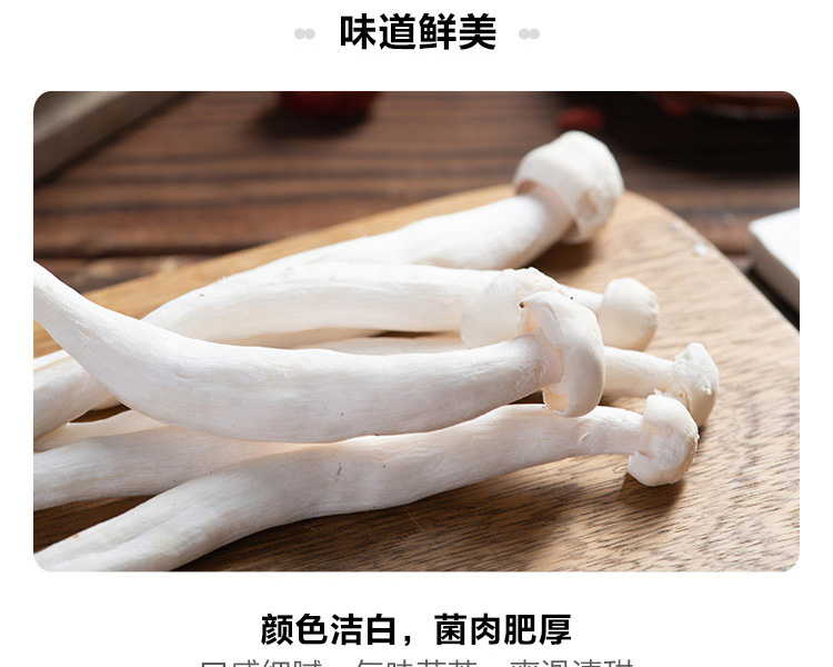 雪榕白雪菇(散装 500g/袋