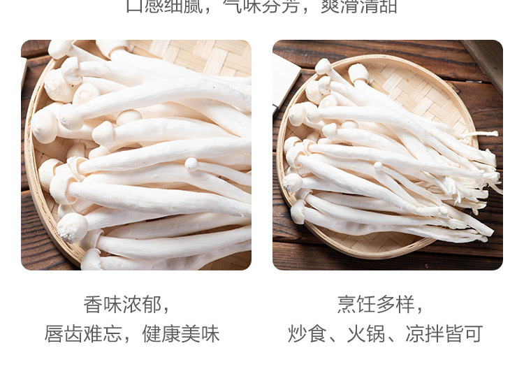 雪榕白雪菇散装500g袋