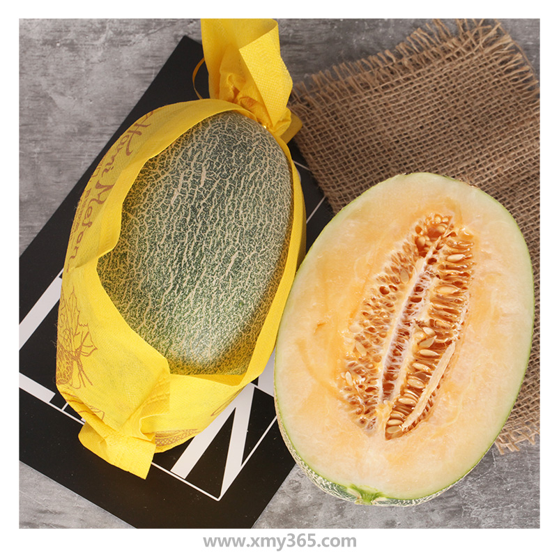 海南沙地晓蜜25号哈密瓜原件4个约12斤